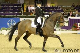 CDI4* Frankfurt GP Spezial: Sieg mit 74.667%_16